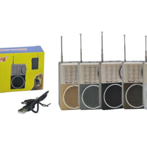 Platoon PL-4717 FM,BT,SD,USB GİRİŞLİ NOSTALJİ SPEAKER