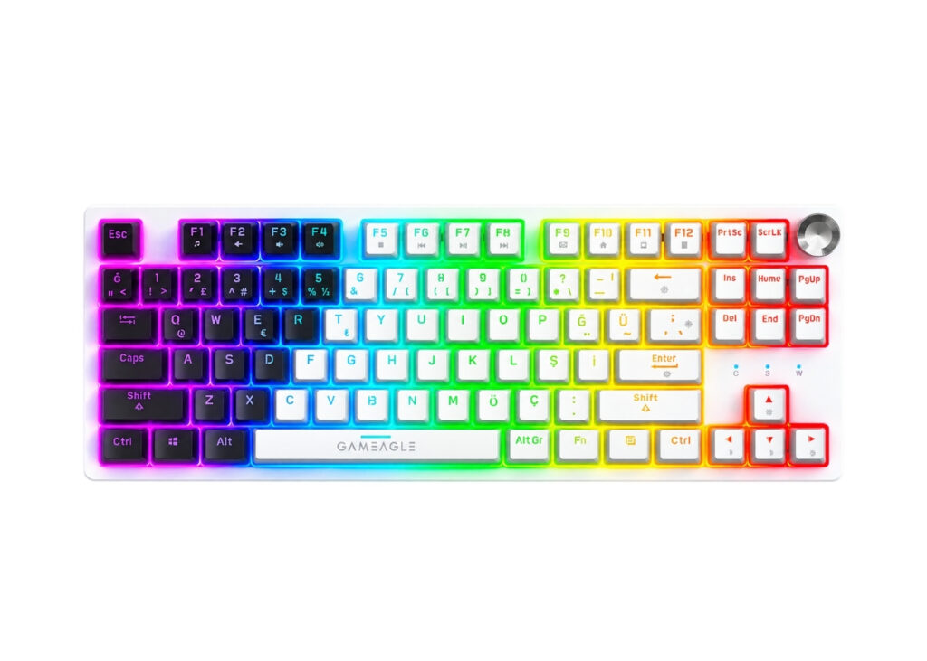 Gameagle GE2028 Dryo RGB Kablolu 20 Mod TR Layout Double Shot Full Anti-Ghosting Mekanik Oyuncu Klavyesi Beyaz/Siyah