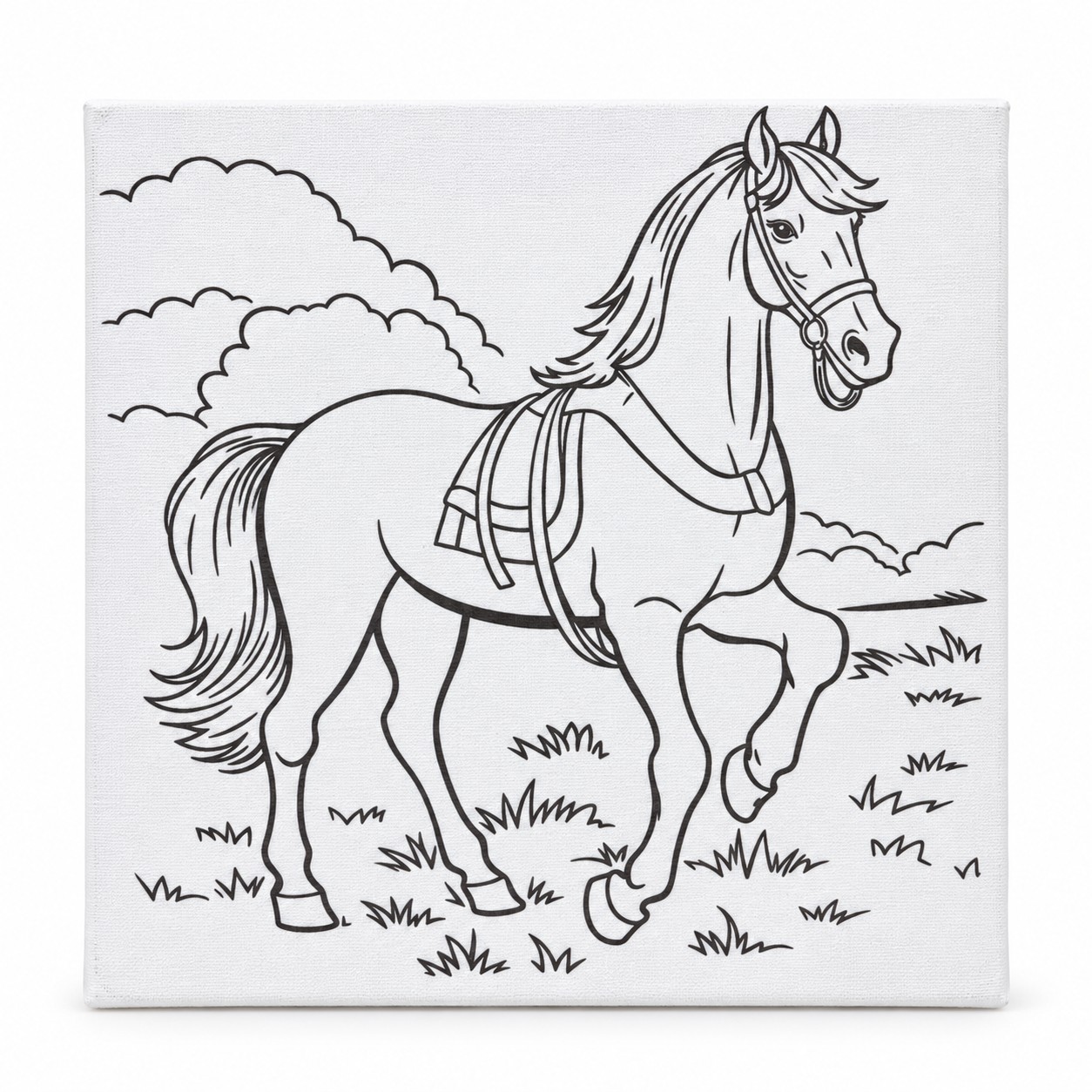 Beimo 22*22 Cm Desenli Tuval